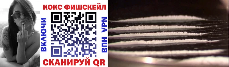 ссылка на мегу tor  цены   Петровск  Кокаин 99% 