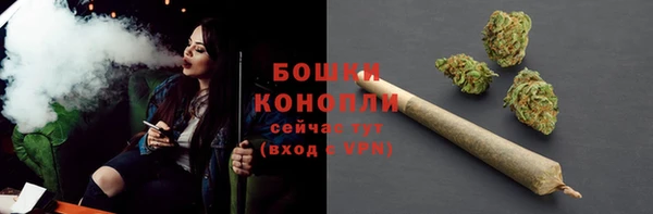 ПСИЛОЦИБИНОВЫЕ ГРИБЫ Алексеевка