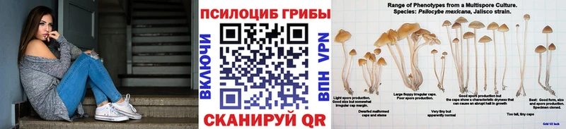 Галлюциногенные грибы Magic Shrooms  Петровск 